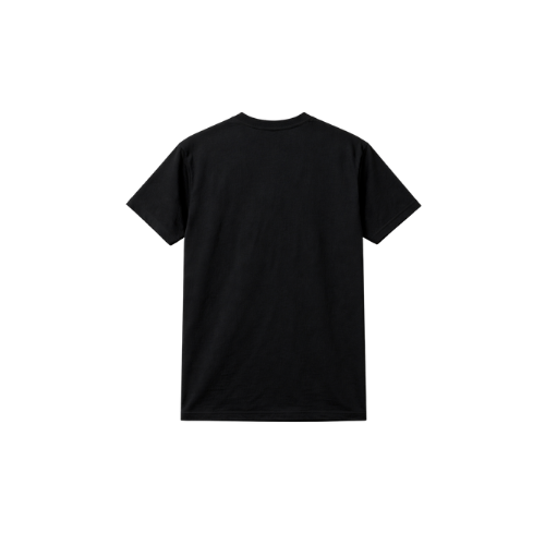 apolO 11 desigN editioN 1 oF 1